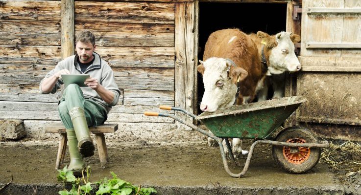 Wirtschaftlichkeit eines agrotouristischen Angebots