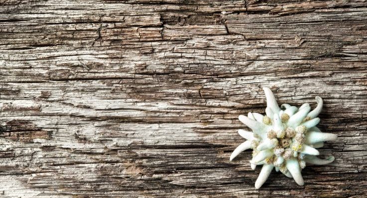 Sicherung der Qualität der agrotouristischen Dienstleistung